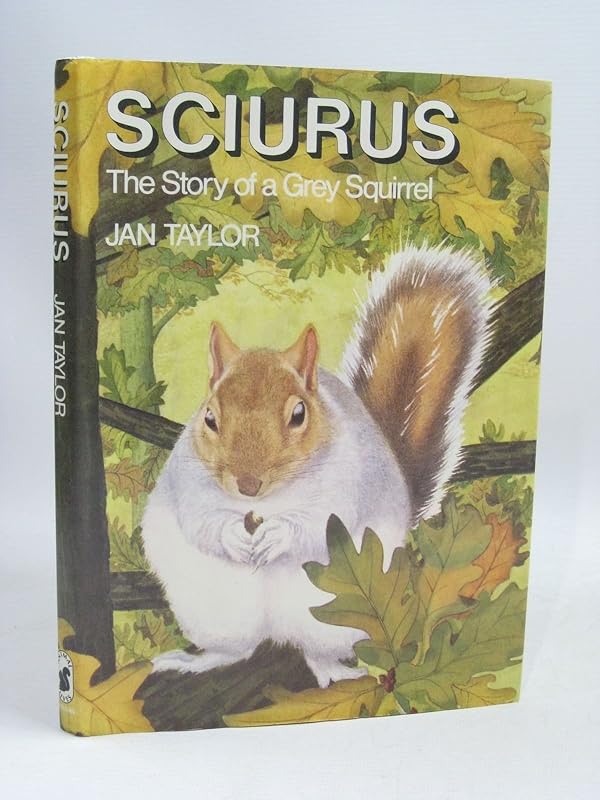 Sciurus: the story of a grey squirrel by Jan TAYLOR