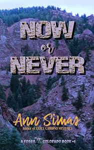 NOW OR NEVER: (A Fossil, Colorado Book #4) by Ann Simas