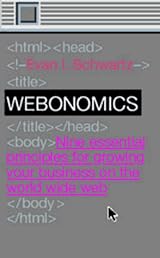 Webonomics : Nine Essential Principles for Growing Your Business on the World Wide Web