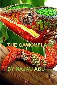 THE CAMOUFLAGE by Najau Abu