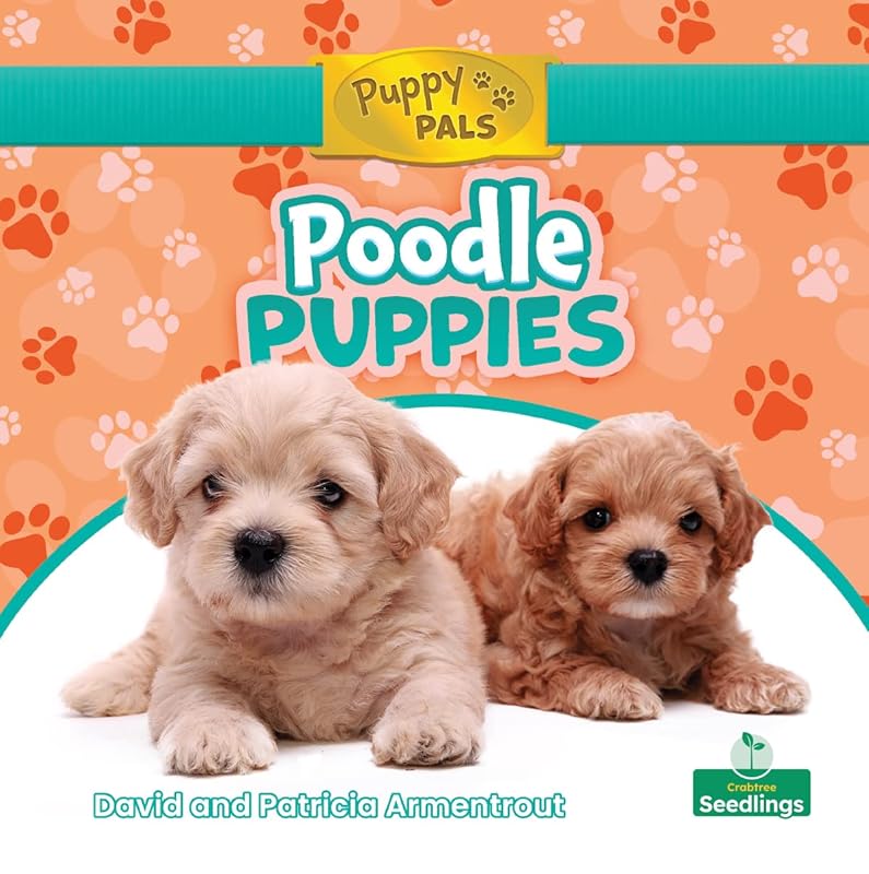 Poodle Puppies (Puppy Pals) by David Armentrout