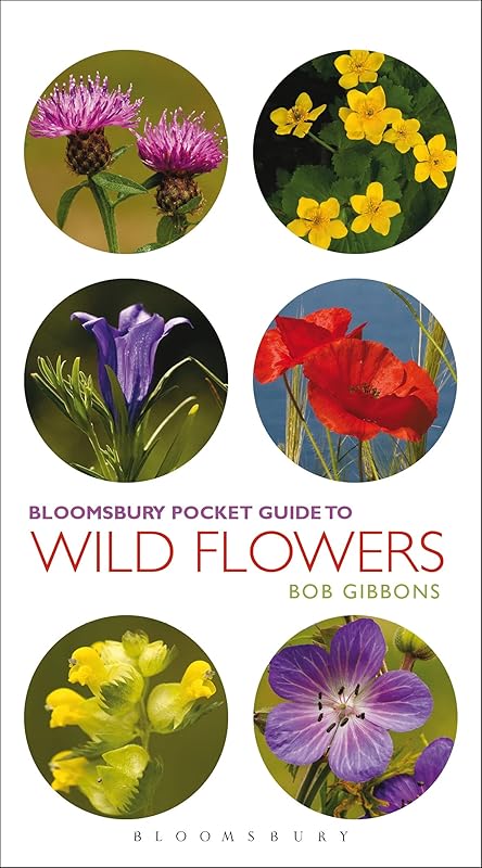 Pocket Guide To Wild Flowers (Pocket Guides) by Bob Gibbons