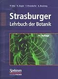 Strasburger - Lehrbuch der Botanik für Hochschulen