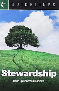 Guidelines 2017-2020, Stewardship by unknown author