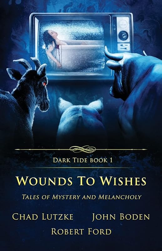 Wounds to Wishes: Tales of Mystery and Melancholy (Dark Tide Horror Novellas) by Chad Lutzke