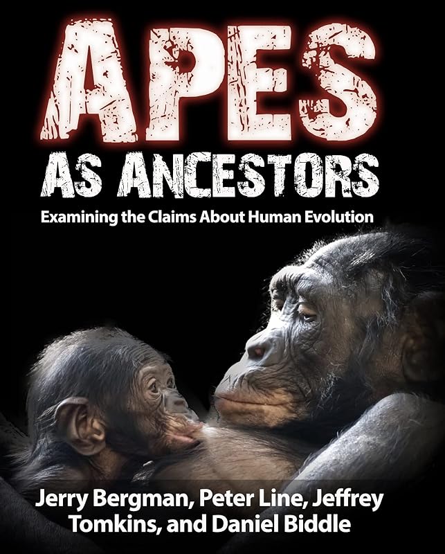 Apes as Ancestors: Examining the Claims About Human Evolution by Jerry Bergman