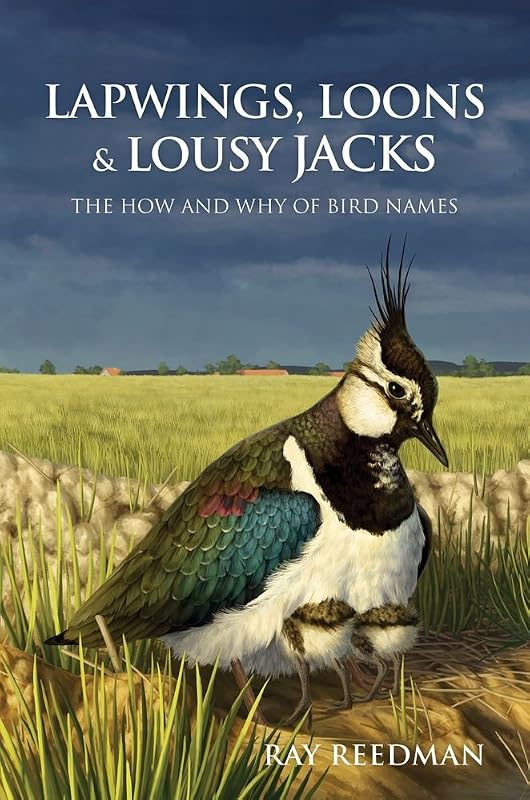 Lapwings, Loons and Lousy Jacks: The How and Why of Bird Names by Ray Reedman