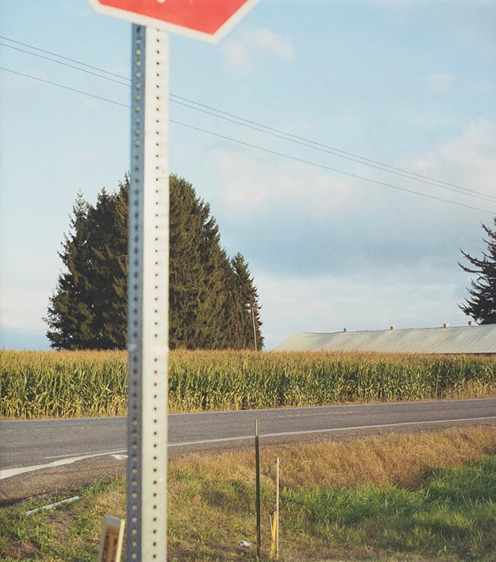 Zero Line Boundary by Robert Lyons