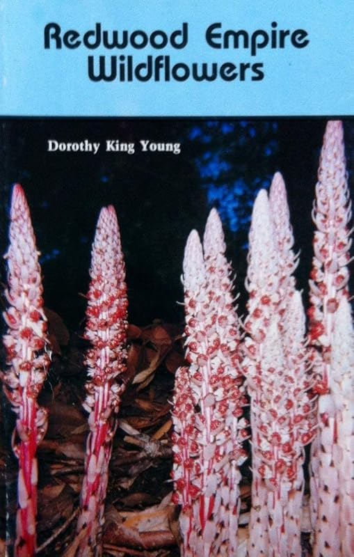 Redwood Empire Wildflowers by Dorothy King Young