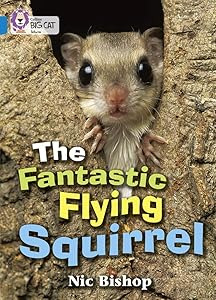 The Fantastic Flying Squirrel: Band 04/Blue (Collins Big Cat)