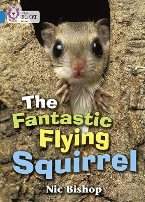 The Fantastic Flying Squirrel: Band 04/Blue (Collins Big Cat)