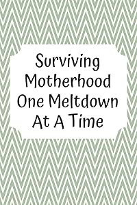Surviving Motherhood One Meltdown At A Time: Baby's Daily Log Book To Track & Record Sleep, Breastfeeding, Diapers of Newborn Babies: Perfect Gift For New Mothers & Nannies by BlessedAngels Press