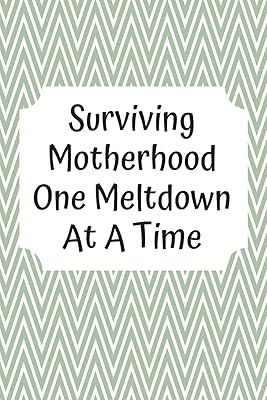 Surviving Motherhood One Meltdown At A Time: Baby's Daily Log Book To Track & Record Sleep, Breastfeeding, Diapers of Newborn Babies: Perfect Gift For New Mothers & Nannies