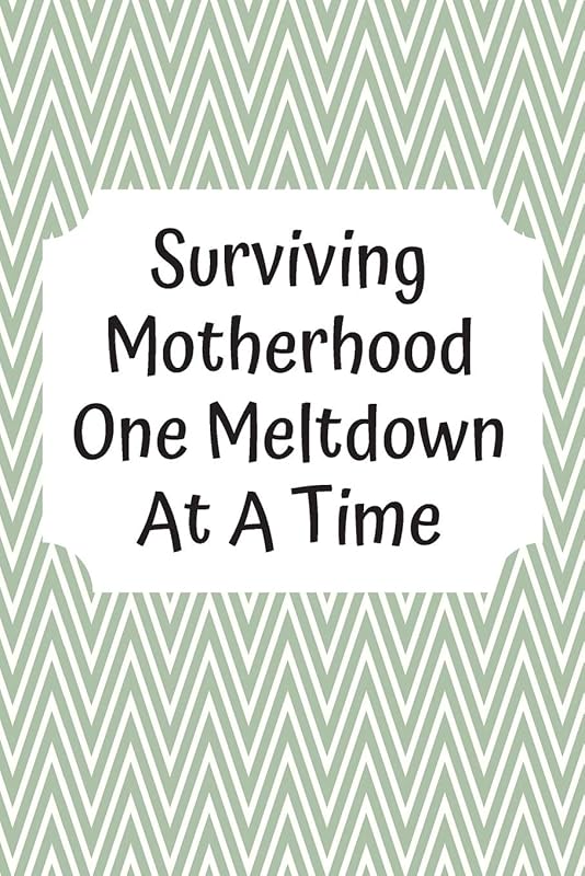Surviving Motherhood One Meltdown At A Time: Baby's Daily Log Book To Track & Record Sleep, Breastfeeding, Diapers of Newborn Babies: Perfect Gift For New Mothers & Nannies by BlessedAngels Press