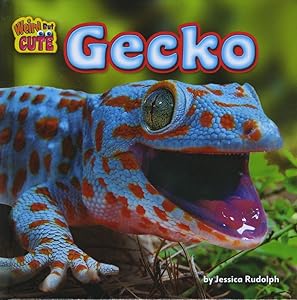 Gecko (Weird but Cute)