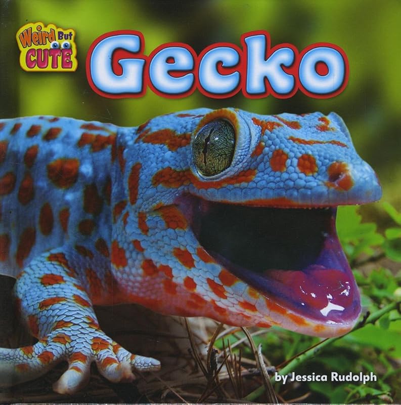Gecko (Weird but Cute) by Jessica Rudolph