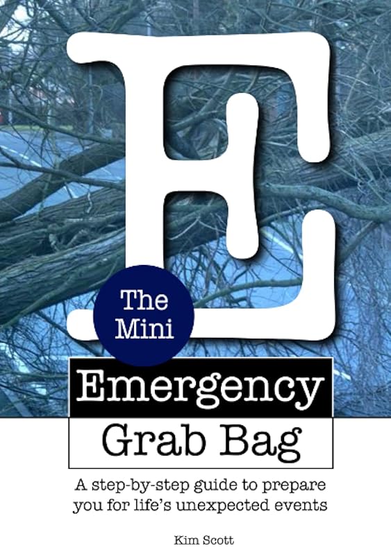 The Mini Emergency Grab Bag 1.0 by Kim Scott