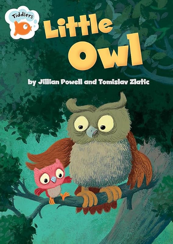 Little Owl (Tiddlers) by Jillian Powell
