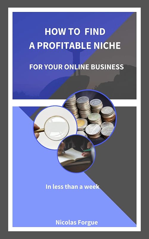 How to find a profitable niche for your online business: In less than a week by Nicolas Forgue