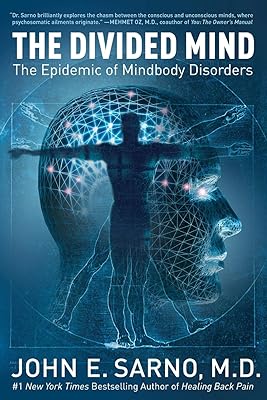 The Divided Mind: The Epidemic of Mindbody Disorders