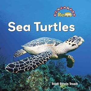 Sea Turtles (Benchmark Rebus)