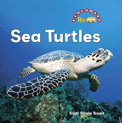 Sea Turtles (Benchmark Rebus)