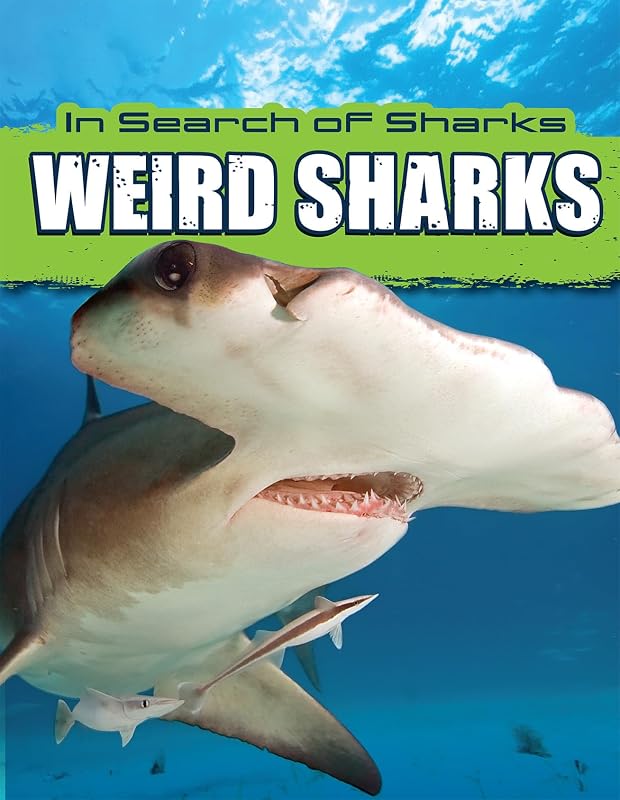 Weird Sharks (In Search of Sharks) by David Thompson