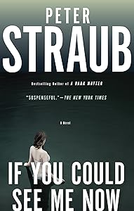 If You Could See Me Now