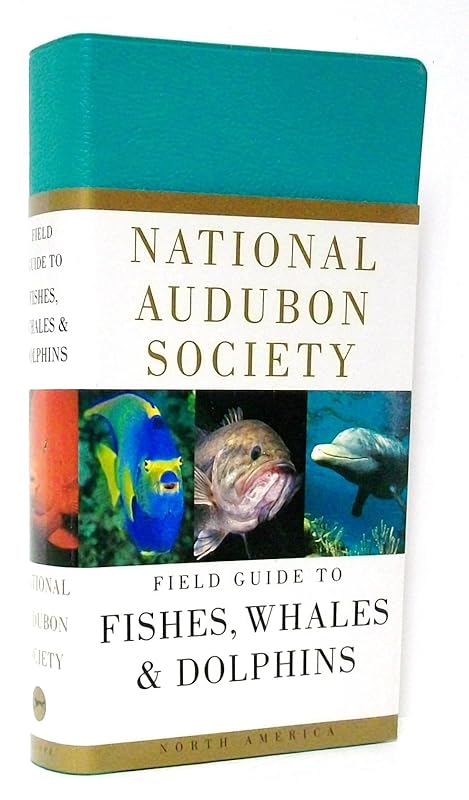 National Audubon Society Field Guide to Fishes, Whales and Dolphins by NATIONAL AUDUBON SOCIETY