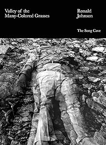 Valley of the Many-Colored Grasses by Ronald Johnson