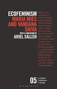 Ecofeminism (Critique Influence Change)