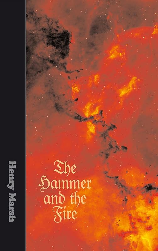 The Hammer and the Fire by Henry Marsh