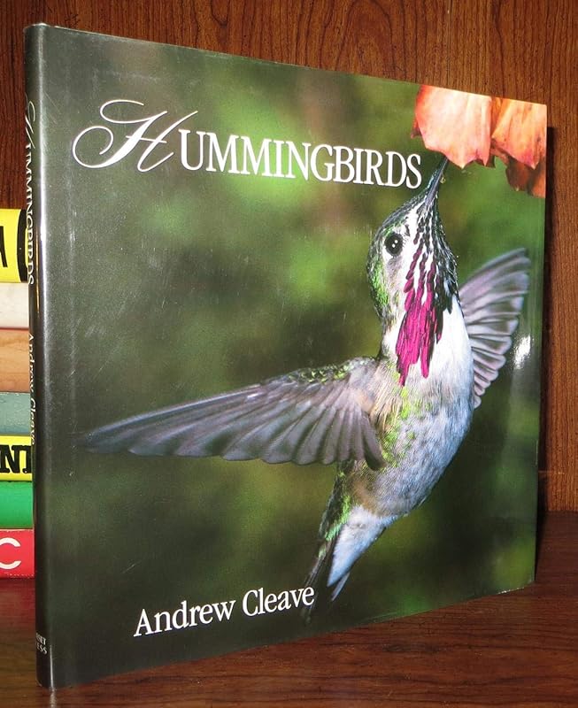 Hummingbirds by Andrew Cleave