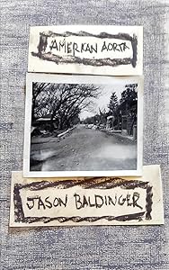 american aorta by Jason Baldinger