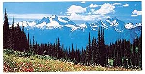 Welcome Visitor Souvenir Scenic Card (Package of 25)