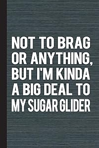 Not To Brag Or Anything, But I'm Kinda Big Deal To My Sugar Glider: Lined Pages For Journaling, Studying, Writing, Daily Reflection / Prayer Workbook by Scott Jay Publishing
