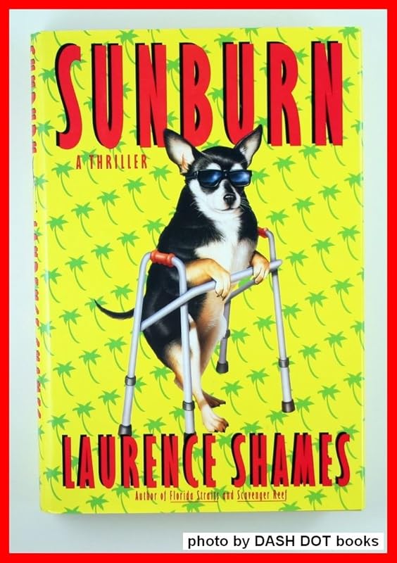 Sunburn by Laurence Shames