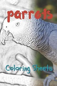Parrot Coloring Sheets: 30 parrot drawings,coloring sheets adults relaxation, coloring book for kids, for girls, volume 9