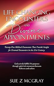 Life Changing Encounters and Divine Appointments: Twenty-Five Biblical Encounters That Provide Insight for Personal Encounters in the 21st Century. by Sue Z McGray