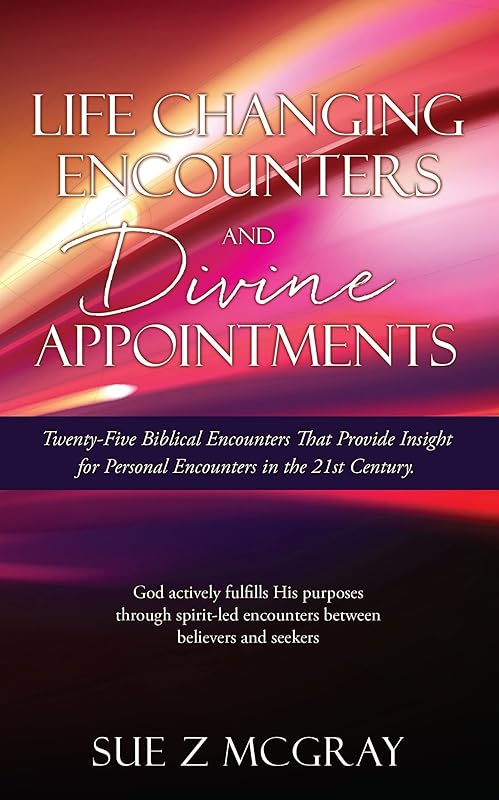 Life Changing Encounters and Divine Appointments: Twenty-Five Biblical Encounters That Provide Insight for Personal Encounters in the 21st Century. by Sue Z McGray