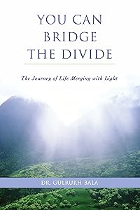 You Can Bridge the Divide:the Journey of by Dr Gulrukh Bala