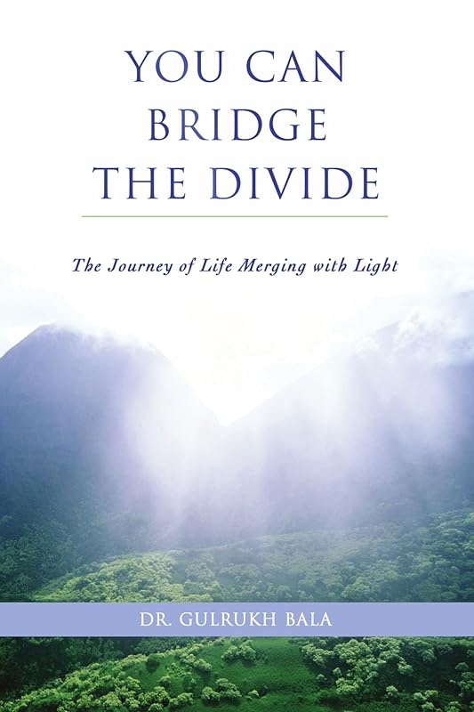 You Can Bridge the Divide:the Journey of by Dr Gulrukh Bala