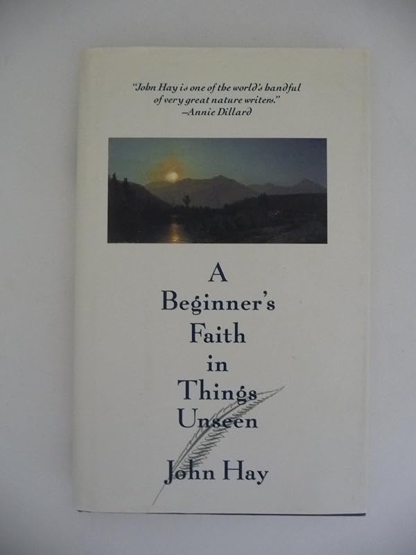 BEGINNERS FAITH IN THINGS UNSEEN (Concord Library) by John Hay