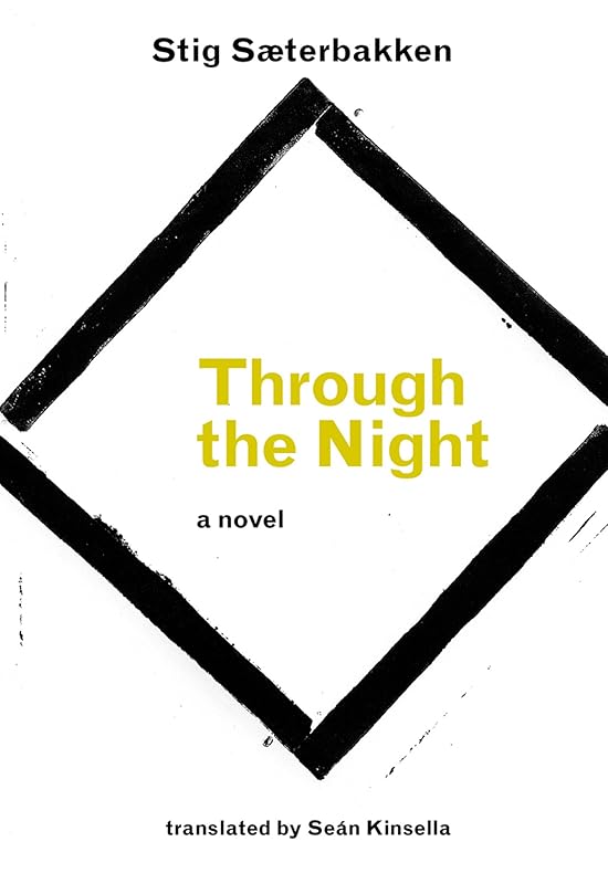 Through the Night by Stig Saeterbakken