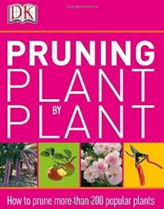 Pruning Plant by Plant