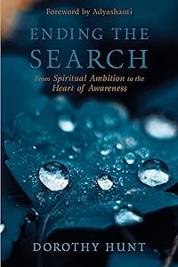 Ending the Search: From Spiritual Ambition to the Heart of Awareness by Dorothy Hunt