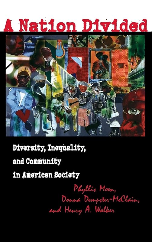 A Nation Divided: Diversity, Inequality, and Community in American Society by Phyllis Moen