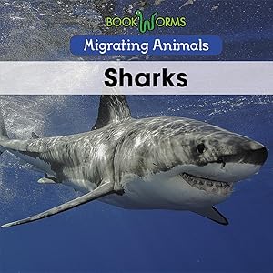 Sharks (Migrating Animals)