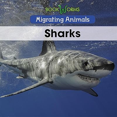 Sharks (Migrating Animals)