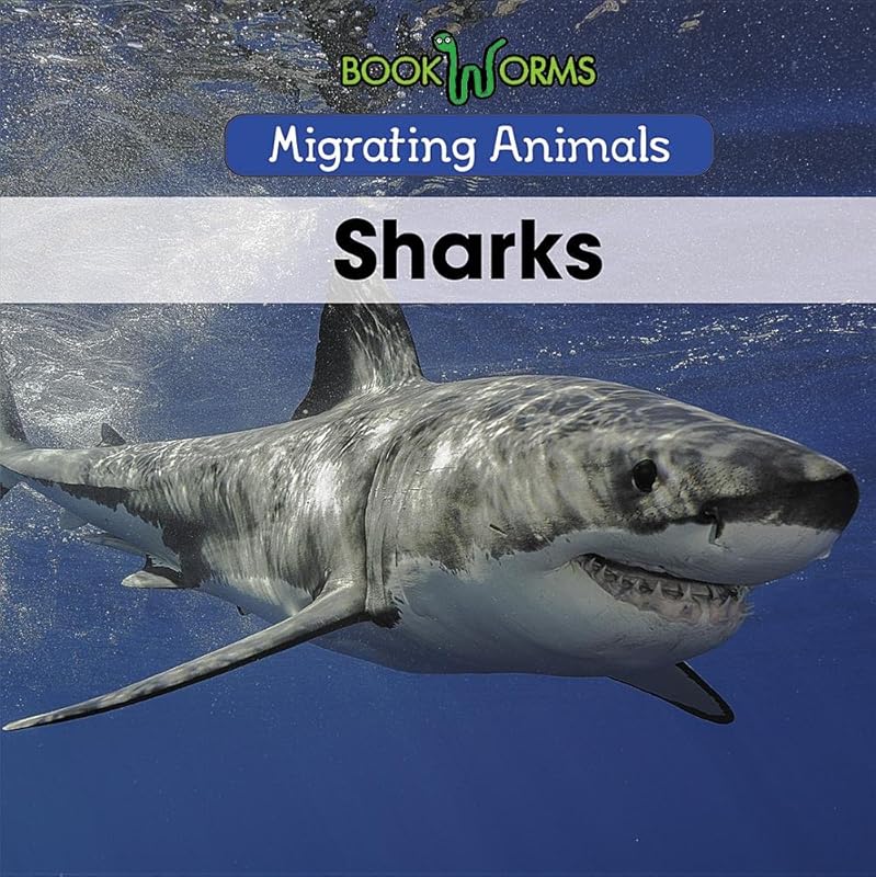 Sharks (Migrating Animals) by Arthur Best
